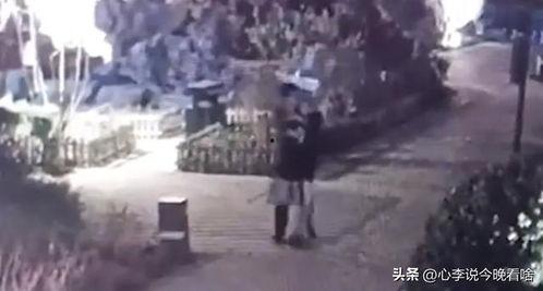 山东梁山吃瓜事件视频曝光,视频曝光揭示惊人真相