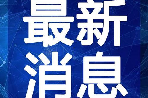 聊城最新吃瓜事件视频,视频揭秘惊人真相！