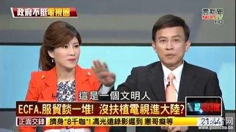 台湾名嘴吃瓜事件视频,一场舆论风波的幕后揭秘