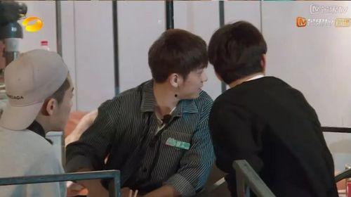 小树林吃瓜视频,揭秘娱乐圈幕后故事