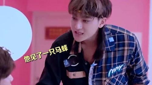 鹿晗吃瓜了完整版视频,吃瓜事件完整版视频深度解析