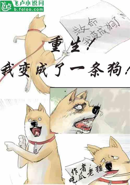 小说全网吃瓜最新视频在线观看,揭秘全网吃瓜最新视频背后的秘密与精彩瞬间